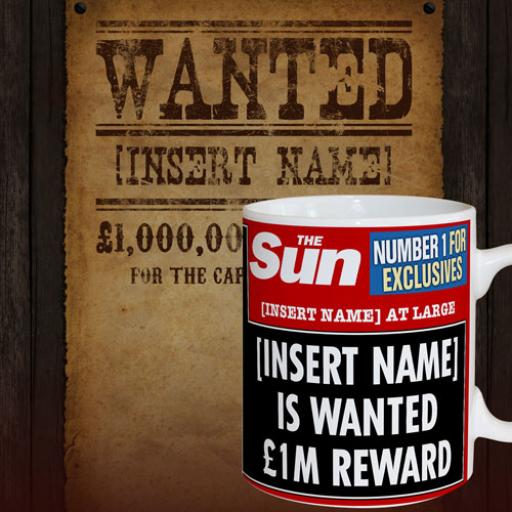 The Sun Wanted Mug